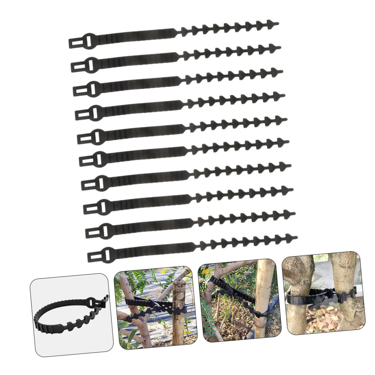 Baumbänder 10 Stück für Obstbäume Jungpflanzen Gummiverschlussband Schwarz Verstellbar zum Binden und Ausrichten von Ästen und Stämmen