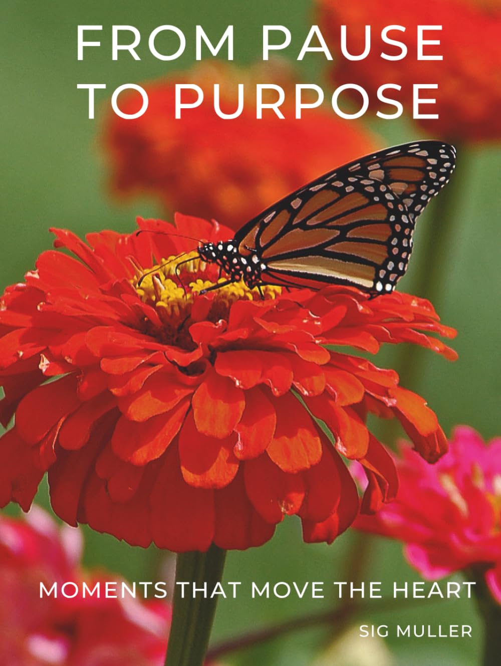 From Pause To Purpose