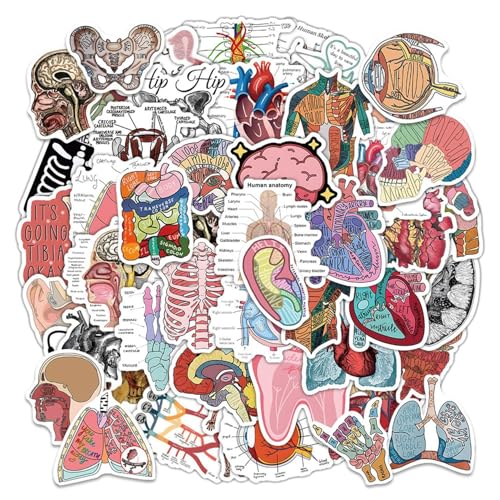 EHDWXVZM 100 Stück Organ-Anatomie-Aufkleber, Computer-Notebook-Aufkleber, Organ-Aufkleber, Gepäckaufkleber, Dekorative Aufkleber