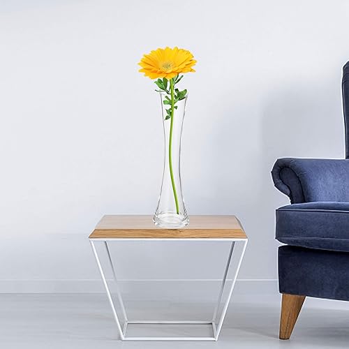 Miniatura 7 de DOITOOL Florero de boca inclinada, florero de vidrio, botella de flores, jarrón para plantas, mini macetas rústicas, jarrón de mesa, jarrón único,