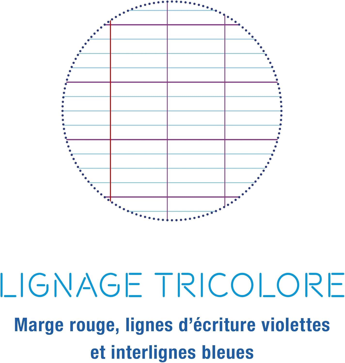 Lote de 10 cuadernos de 24 x 32 cm, 96 páginas Seyes cubierta de poliuretano + 1 índice adhesivo Blumie (10 Calligra)