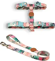 Toh Conjunto Peitoral H E Guia Laguna P