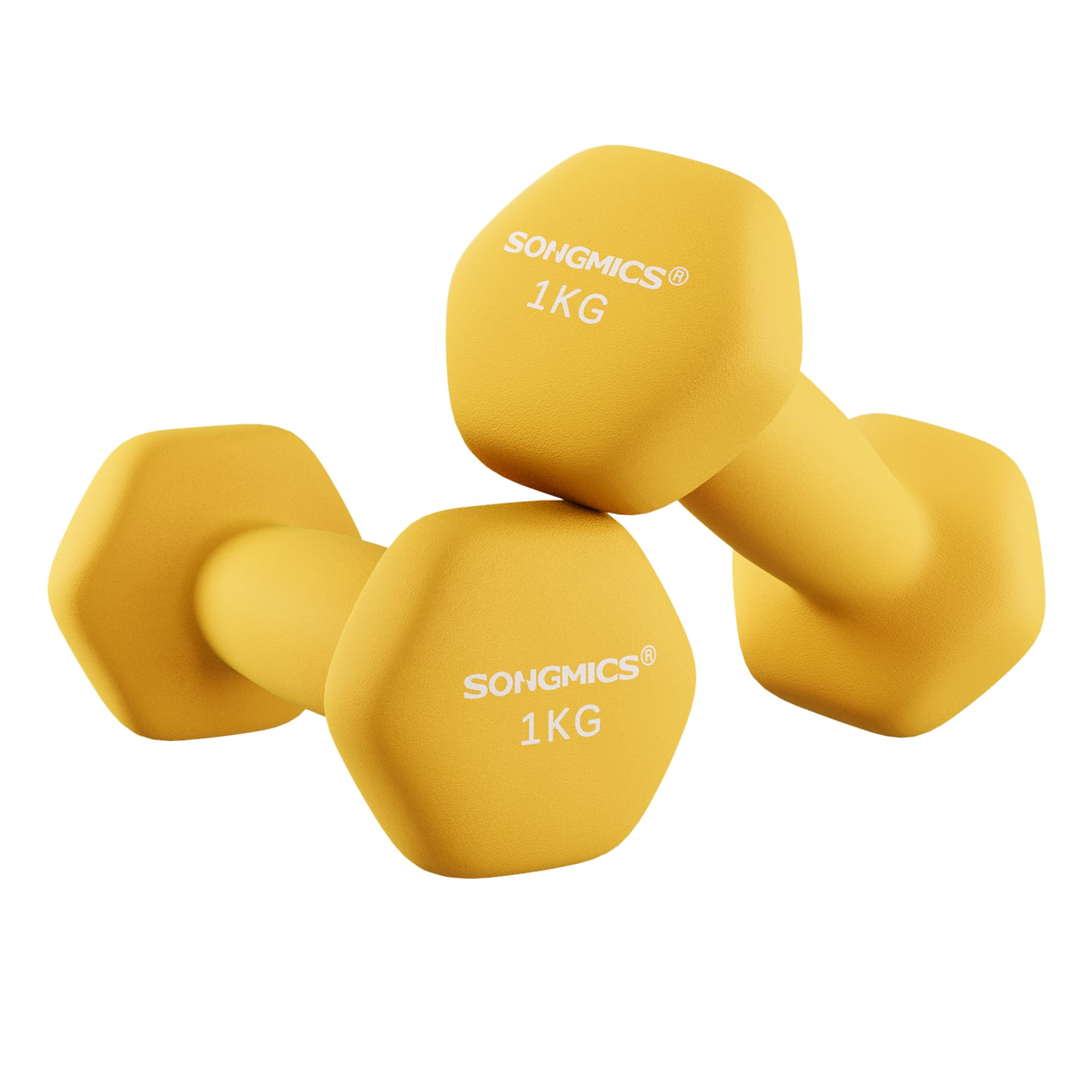 SONGMICS Set di 2 manubri, manubri corti, esagonali, rivestimento in neoprene, allenamento della forza, allenamento, fitness, per la casa
