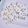Product Photo 8