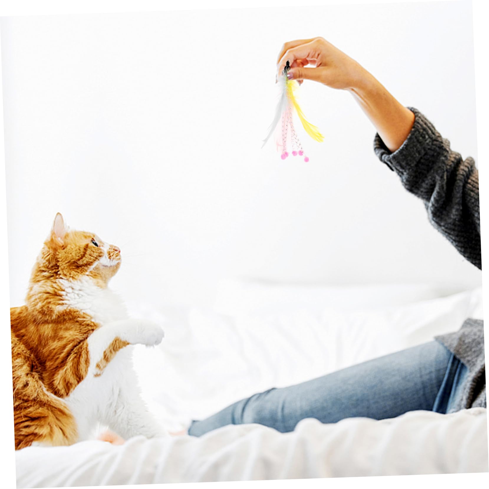 Happyyami 40pezzi Giocattoli Interattivi Per Gatti Con Piume Sostituibili Di Ricambi Per Cannette Da Gioco Sicuri e Resistenti Per Gioco e Interazione Con Tuo Felino