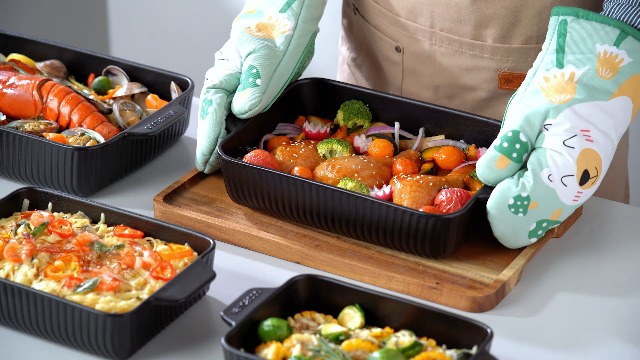 Amazon.com: vancasso Forte 4-Piece Stoneware Baking Dish Set