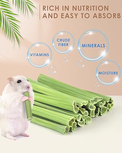 Bissap 35PCS Rabbit Chew Sticks, Natural Papaya Stems Bunny Chews Treats for Rabbit Hamster Chinchilla Guinea Pig Small Animals Organic Molar Chewing Snack(25 PCS)