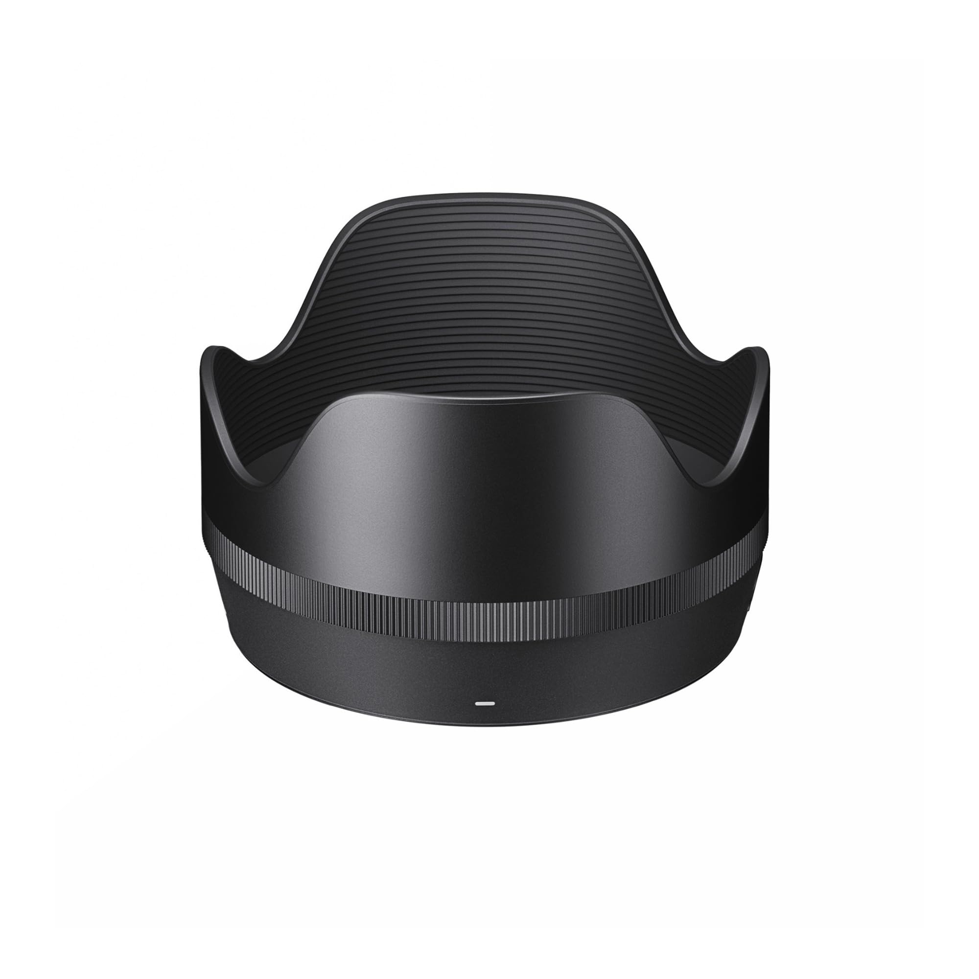 Amazon.com : Sigma 50mm F1.4 DG DN F for L Mount : Electronics