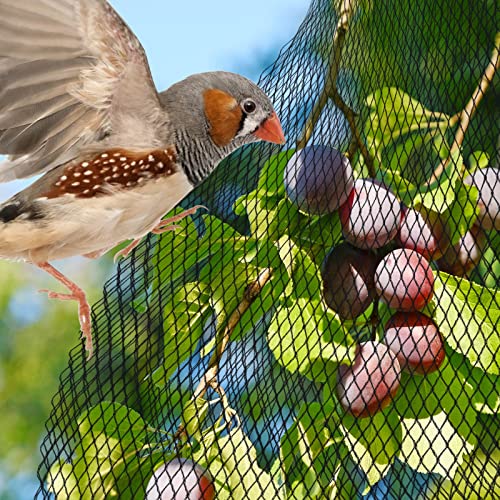 Pacetap 01 Pond Netting Kit 10 X 10 Ft,Pond Netting thumb #5
