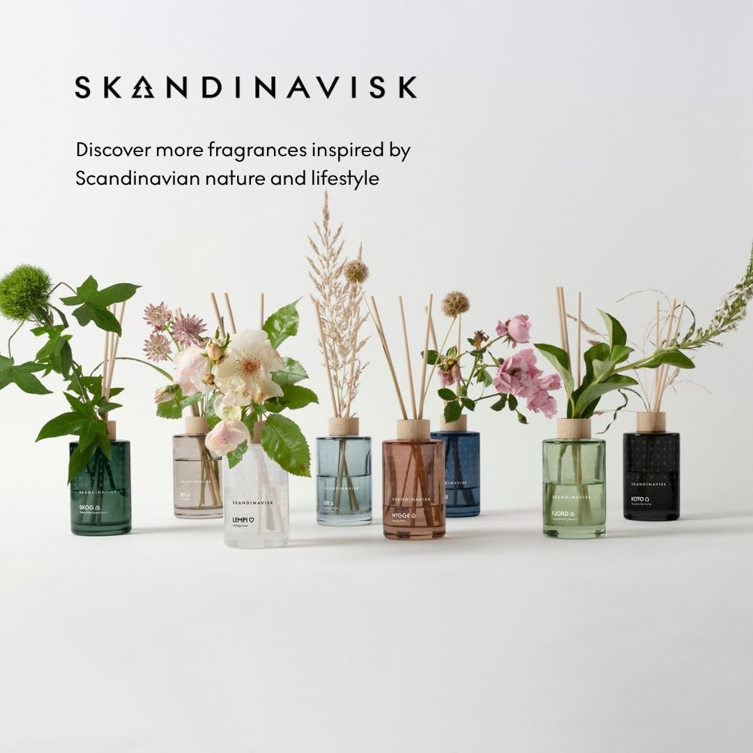 Skandinavisk ARKTIS Diffuseur de parfum avec 8 roseaux Notes de parfum : bois balayé par le vent et sauge arctique, menthe verte et flocons de neige. 93,6 g