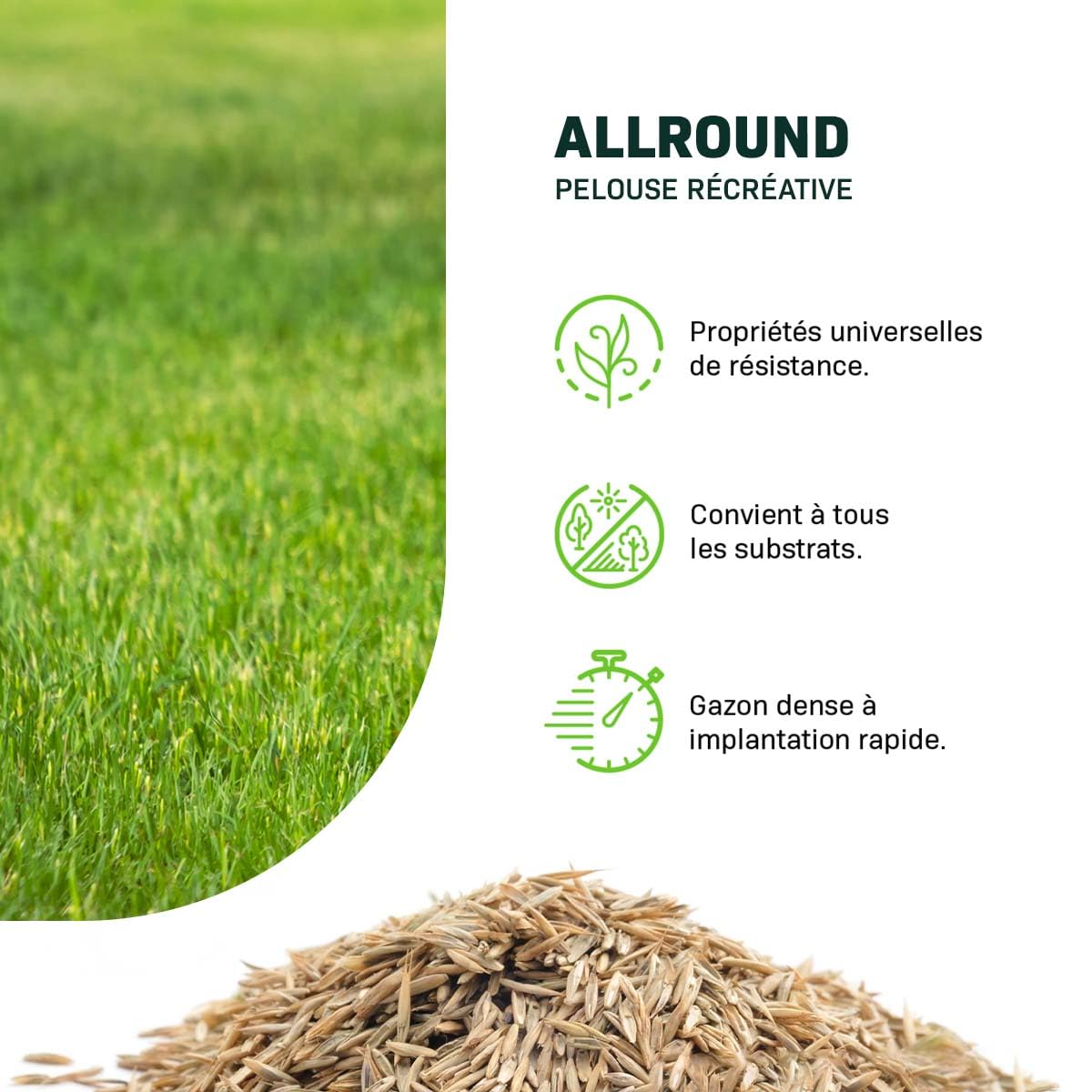 MRS Allround : Semences de gazon récréatif - 5 kg pour 250 m² - Robuste et esthétique - Tolérant à l’ombre et à la sécheresse