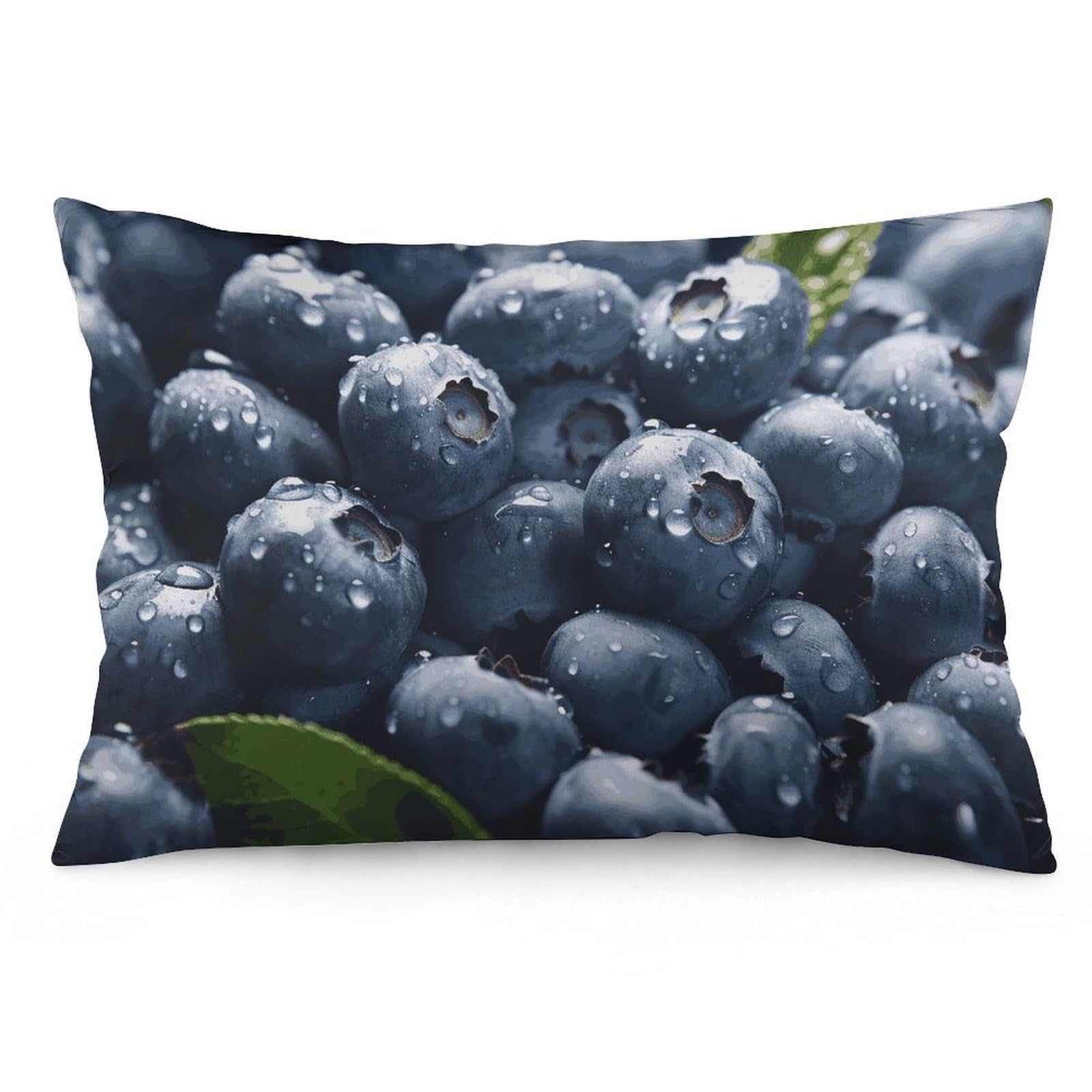 NTVOWPZO 2 Pack Decoration Throw Pillow Covers 16 "x24 Pillowcases Covers Delicious Blueberry Pillowcases Modern Farmhouse Home Decor Sofa Cushions Covers for Couch Bed Living Room