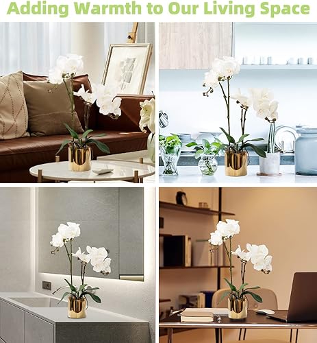 Vista 140 de CXGS Plantas artificiales de orquídeas artificiales de tacto real, orquídeas falsas en jarrón de cerámica de 20.9 pulgadas, orquídea falaenopsis