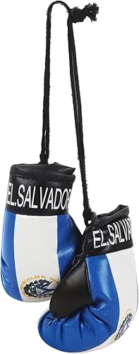 SandT Collection Mini guantes de boxeo Country Flag - Guantes de boxeo colgantes