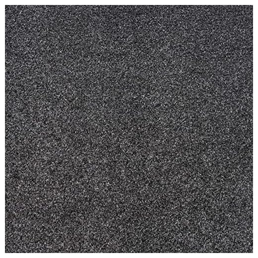 Stain Resistant Twist Carpet