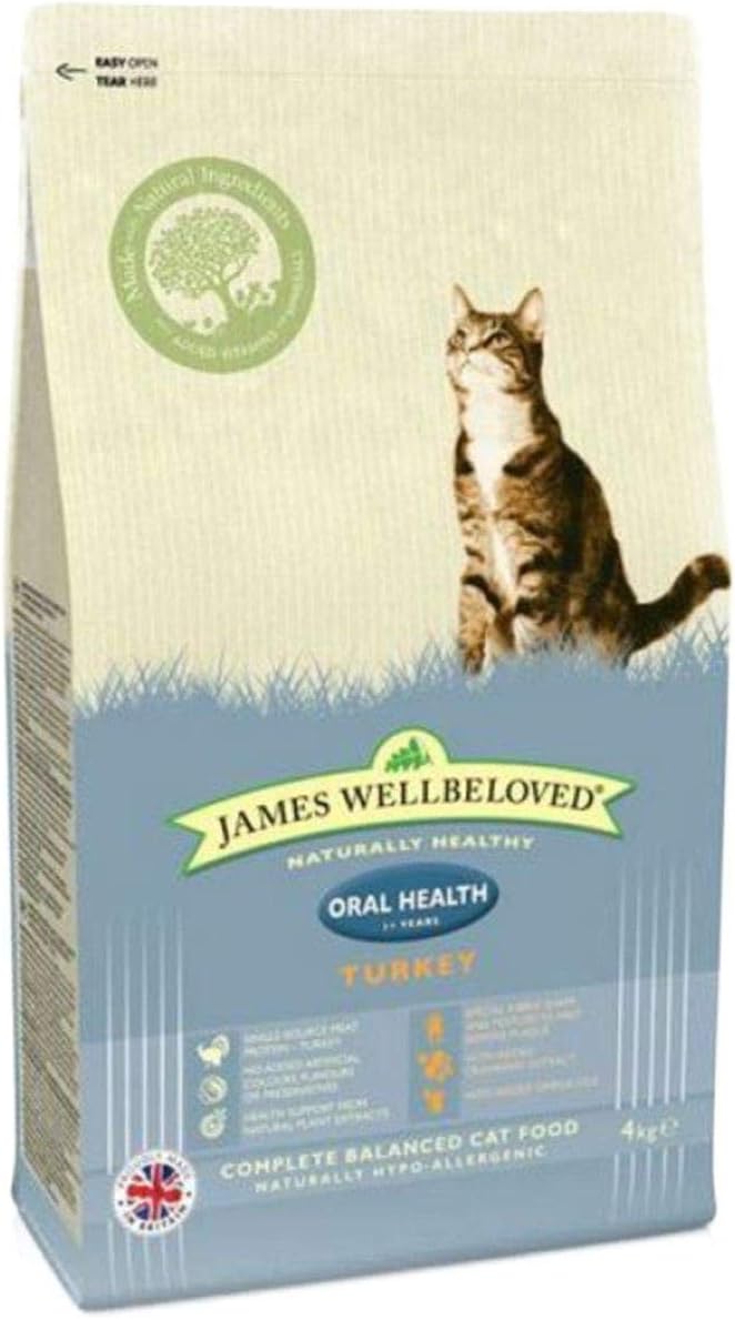 great dane images photos