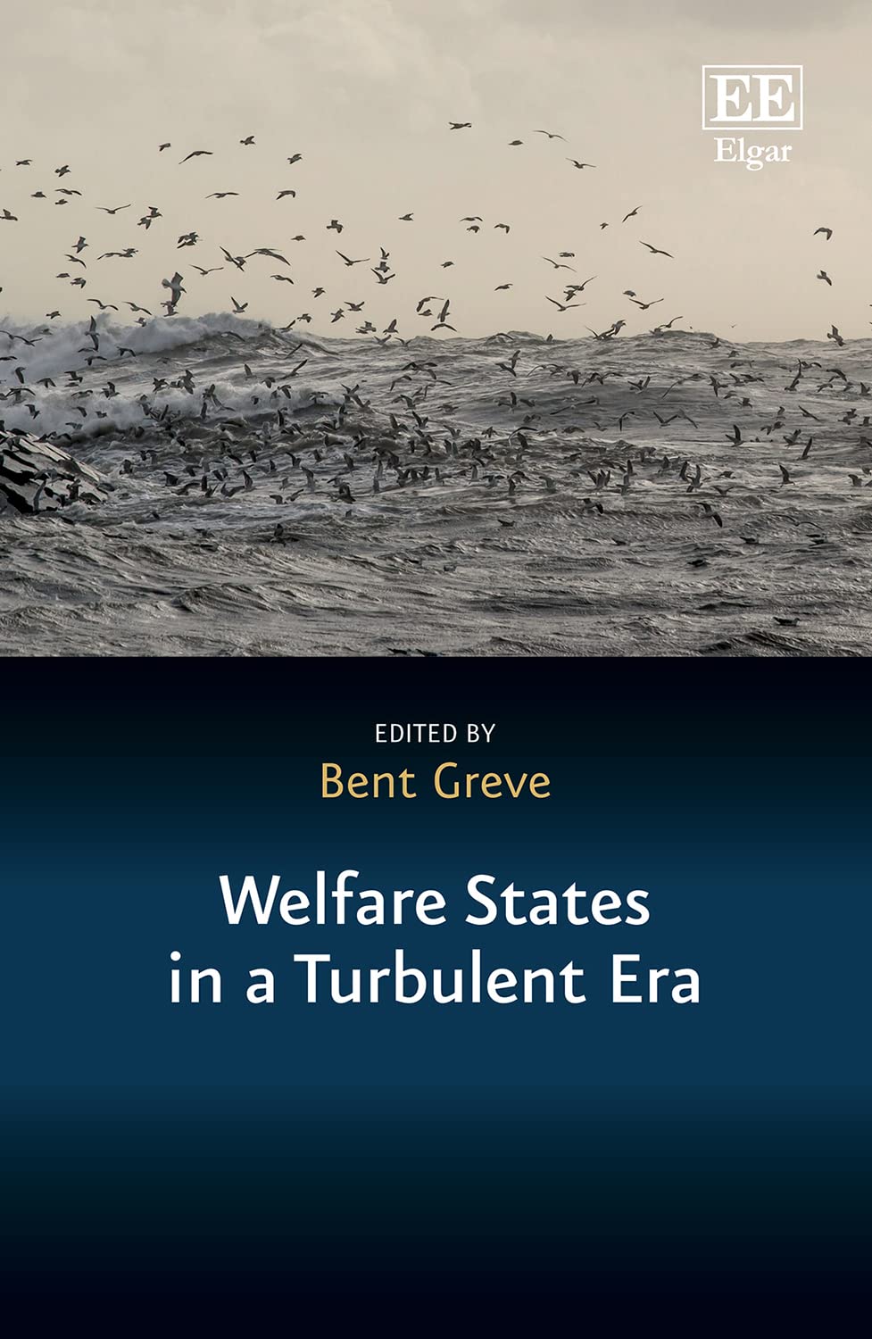 Buy Welfare States in a Turbulent Era (In a Turbulent Era series) — BookShops.in