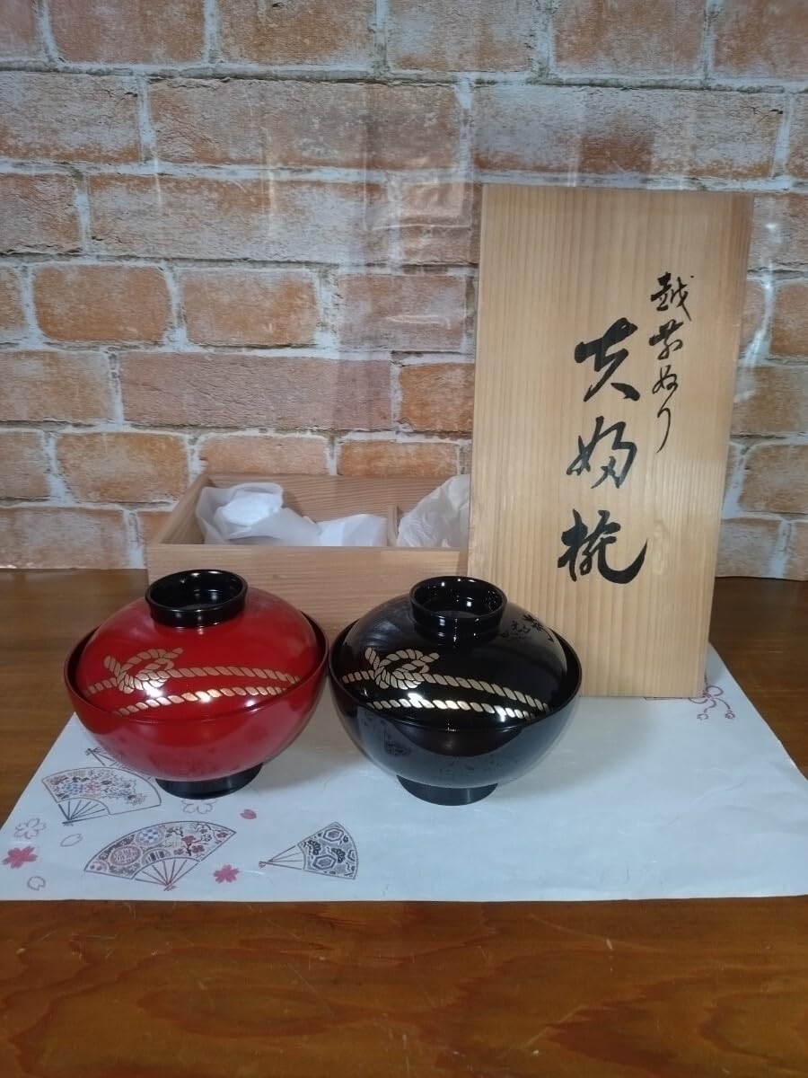 Echizen Lacquerware Lidded Soup Bowl Set of 5 Lacquer Coated Japanese