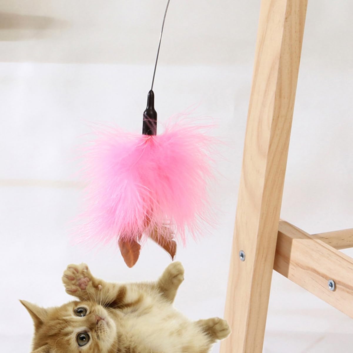 DOITOOL 2pièces De Jeu Interactives pour Chats De Jouets Plume Stimule Instinct De Chasse Accessoires Amusants pour Chats Intérieur Matériaux Sûrs Et
