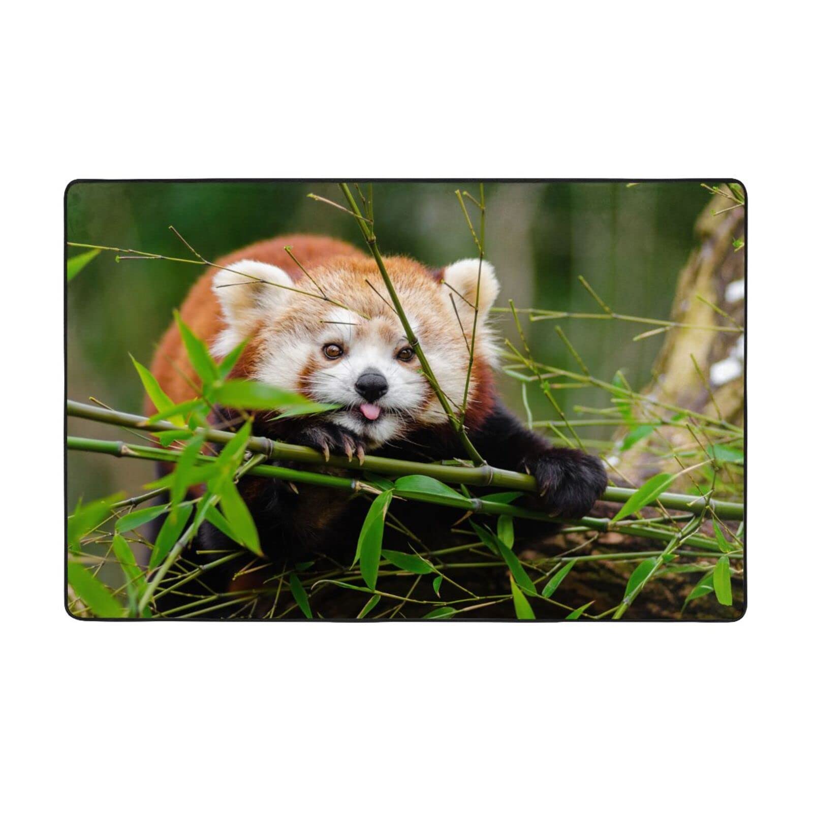 Tapis antidérapant lavable en peluche douce 150x100 cm pour chambre et cuisine