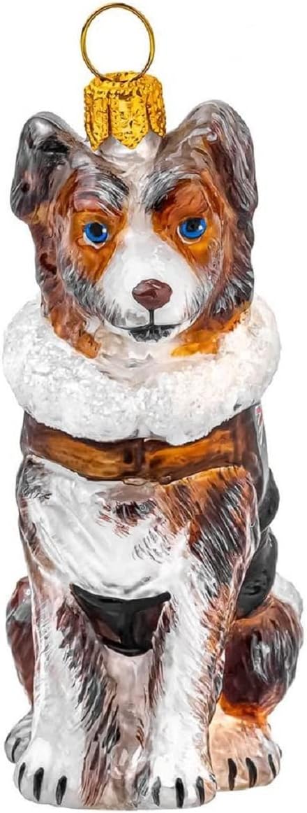Joy To The World Red Merle Australian Shepherd Aviation Bomber Polish Glass Christmas Ornament