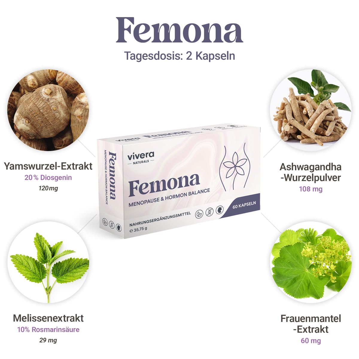 Wechseljahre Kapseln hochdosiert – Yamswurzel Ashwagandha – vegan | Mit Yamswurzel, Ashwagandha, Frauenmantel & Melisse – Vitamin B12, D3, Zink, Folsäure & Eisen – vegan GMO-frei – 60 Kapseln