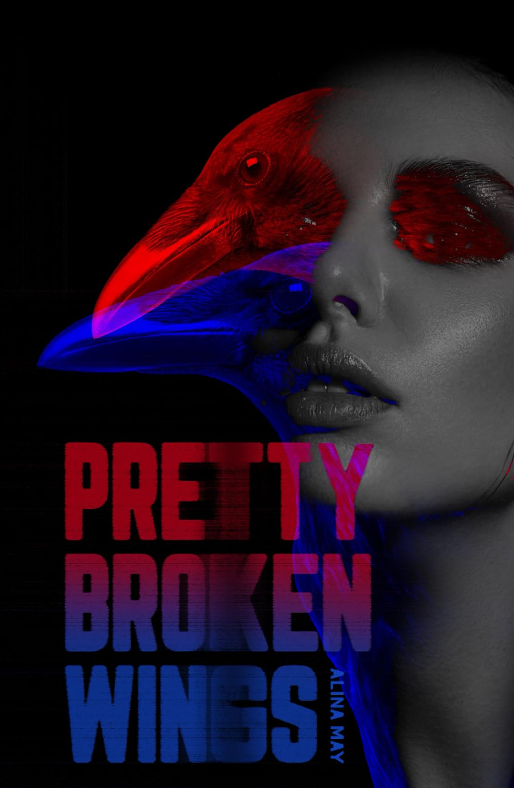 Pretty Broken Wings