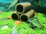 Ceramic Shelters, 2 pcs, Fish Tank Accessories, Fish House, Swim Holes Aquatic, Aquarium Cave, Aquarium Ceramic Decor for Freshwater and Saltwater Fish Tank, Pets to Breed, Play and Rest Decor