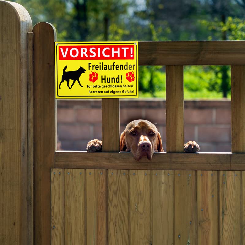 BETESSIN Vorsicht Freilaufende Hund Schild Warnschild Hund 30x20cm Hinweisschilder mit 5mm Bohrlöcher Schilder PVC Hart-Plastik Wetterfest & UV-beständig Schild Gelb