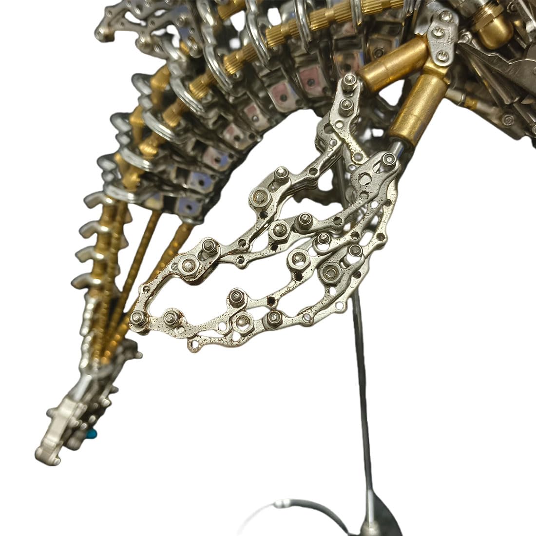 Adam Binder 動物　イルカ　アクアバティックス【1000個限定】 342525-5.jpg