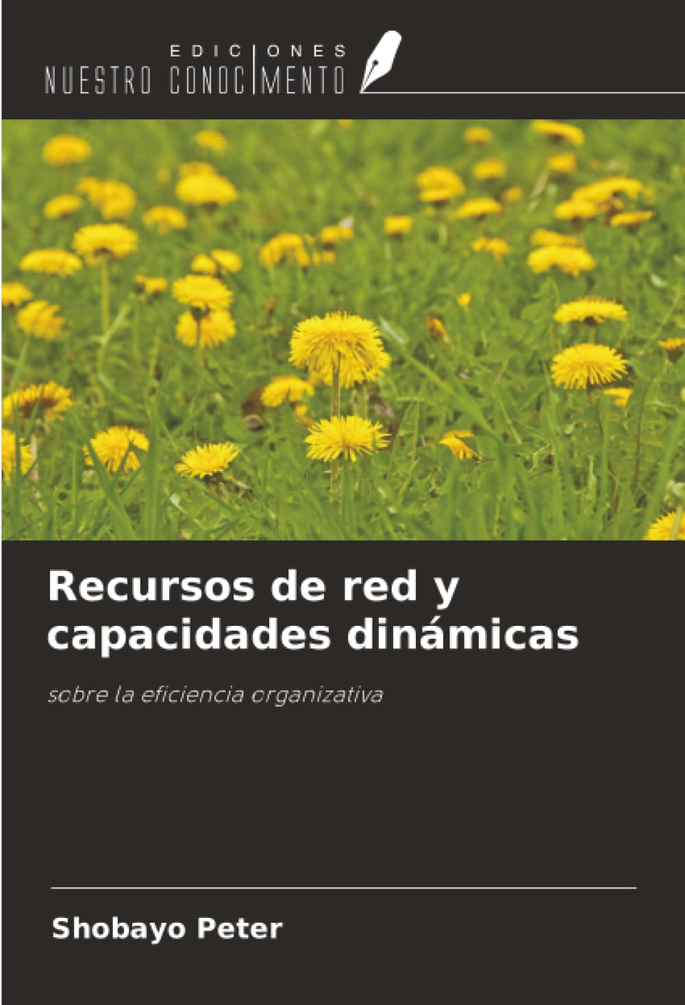 Recursos de red y capacidades dinámicas: sobre la eficiencia organizativa