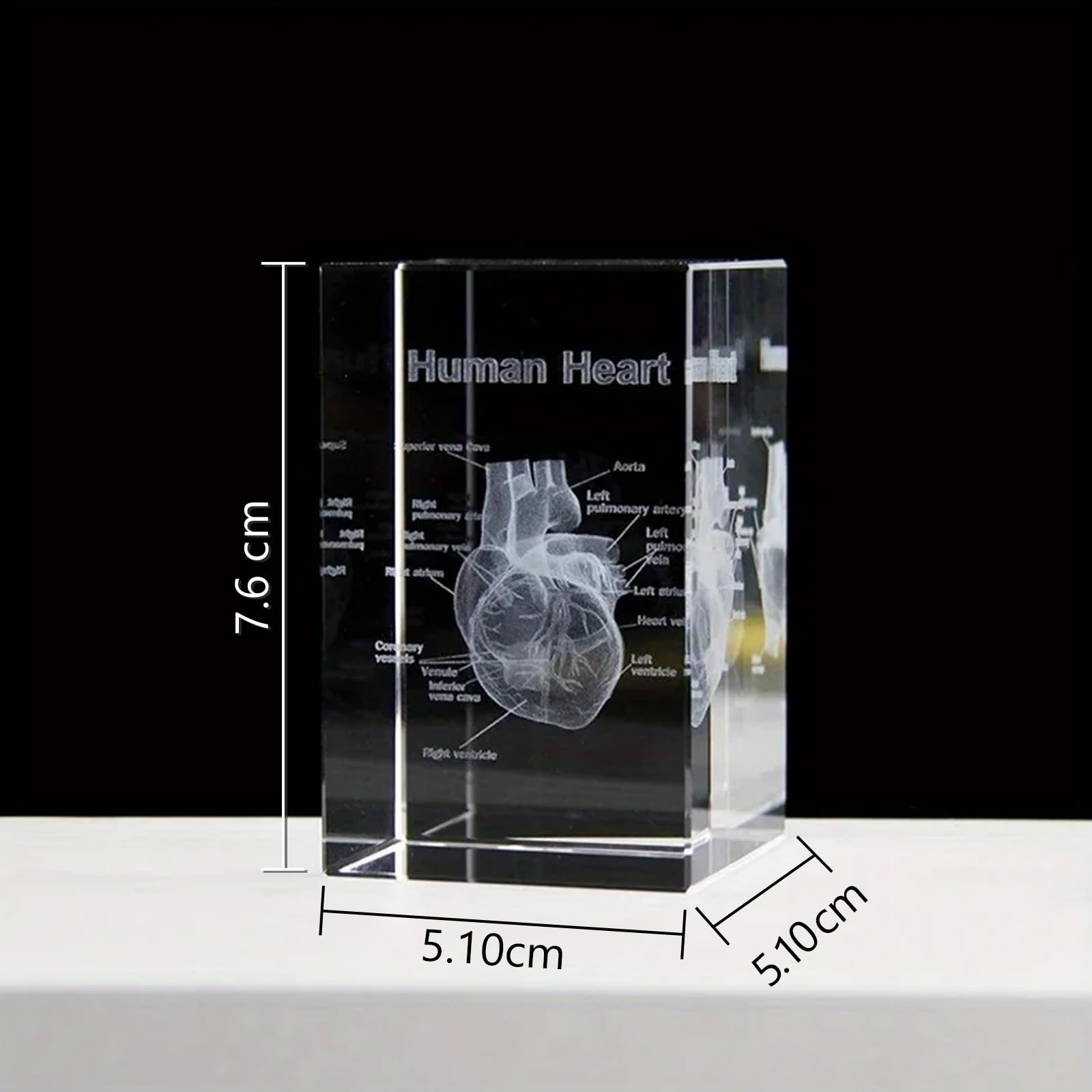 Ensemble de modèles anatomiques en cristal 3D, Représentation 3D de cœur gravée avec précisionpour médecine et design