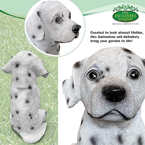 THE ENCHANTED GARDEN Dalmatian Dog Ornament Resin Fun Animal Figurine Decoration for Patio Lawn Yard Décor - Image 4