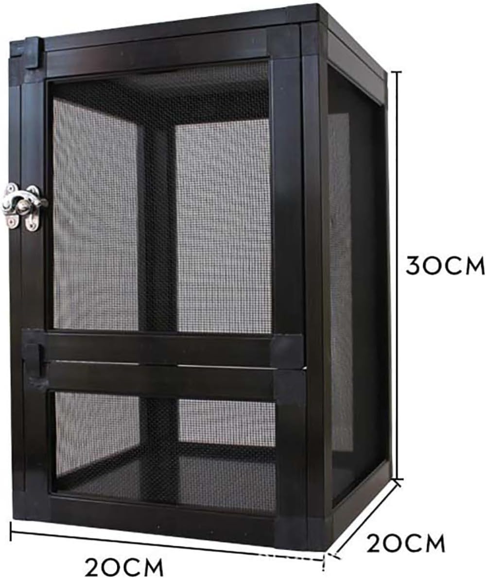 補修2〜3% マダガスカルのラパレントサウルス　フットクロウ　爪　化石　恐竜 補修2〜3% マダガスカルのラパレントサウルス フットクロウ 爪 化石 恐竜