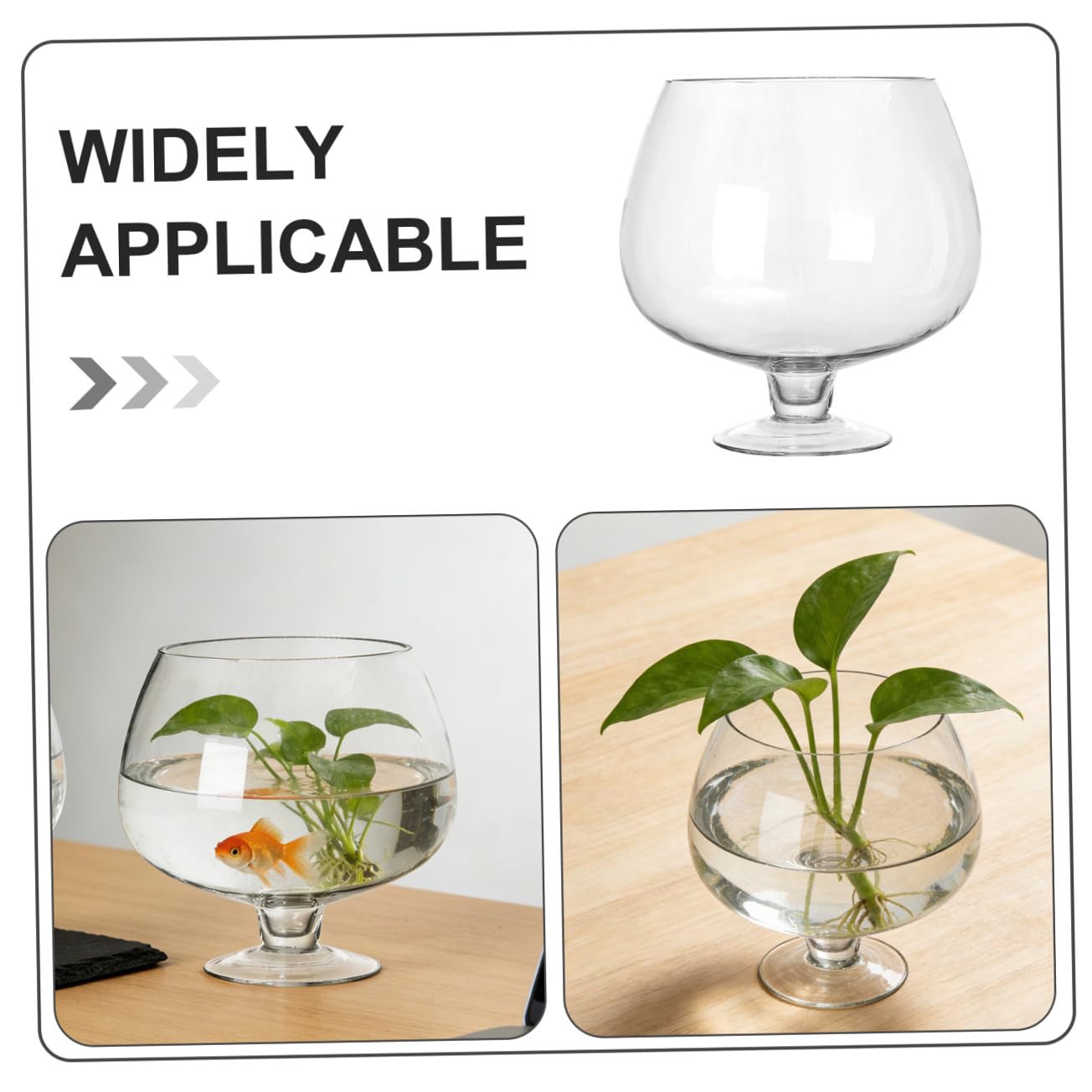 Angoily Acquario Multifunzionale in Vetro Trasparente per Pesci Rossi Betta, Acquario da Tavolo Piccolo e Decorativo per Casa, Ufficio e Giardino, Vaso Idroponico Ecologico e Compatto