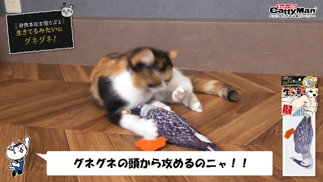 Amazon | キャティーマン (CattyMan) じゃれ猫 けりけり玩具 生き鳥