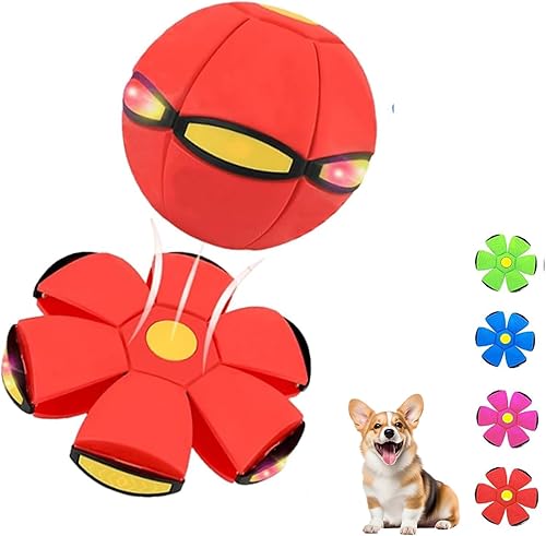 Magic Bouncy Ball - Pelota inflable para niños, tira un disco y atrapa una bola, pelota de fútbol para interiores y exteriores, transformación de