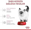 Royal Canin Kitten Cat Food, 10 Kg
