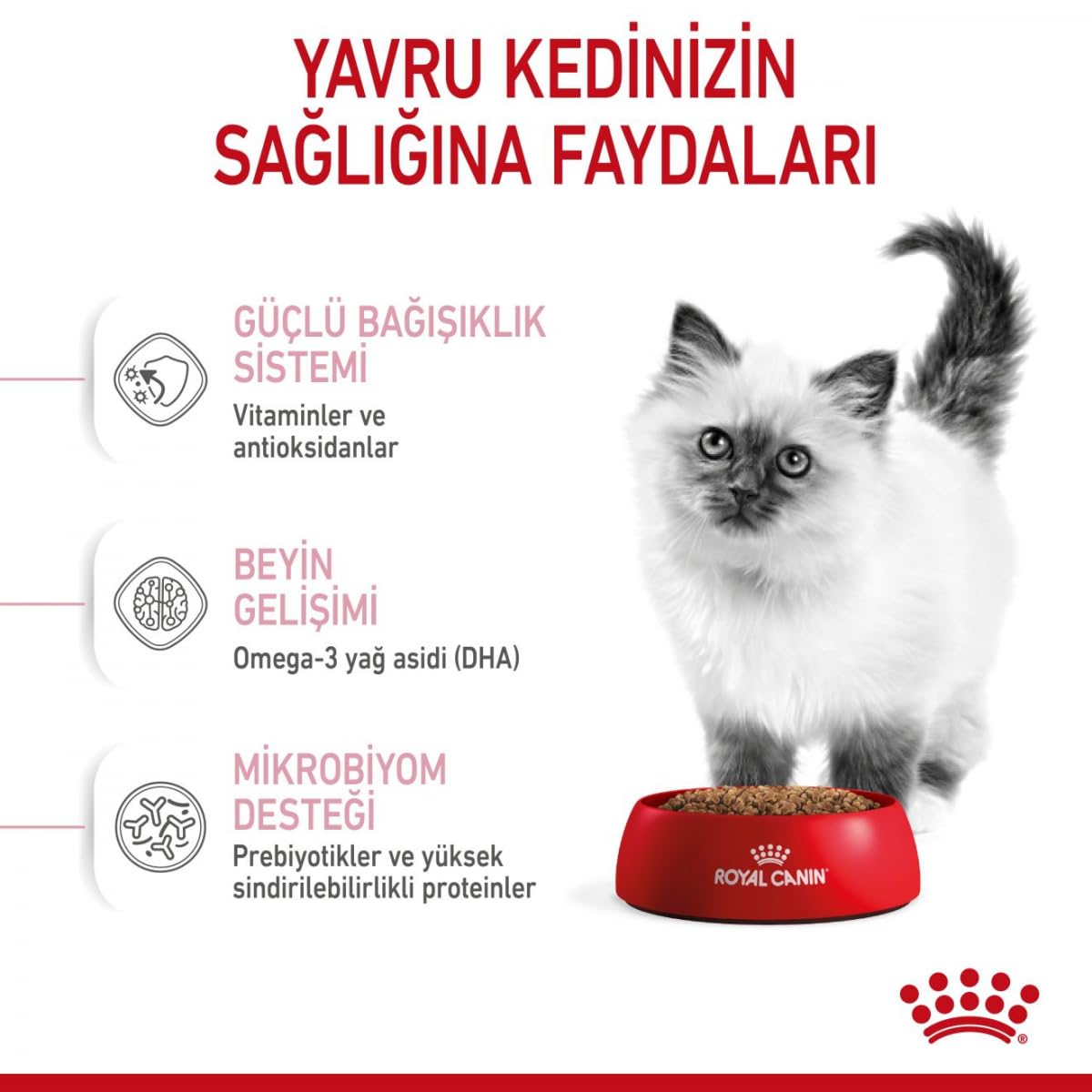 Royal Canin 55102 Kitten 4 kg- Katzenfutter