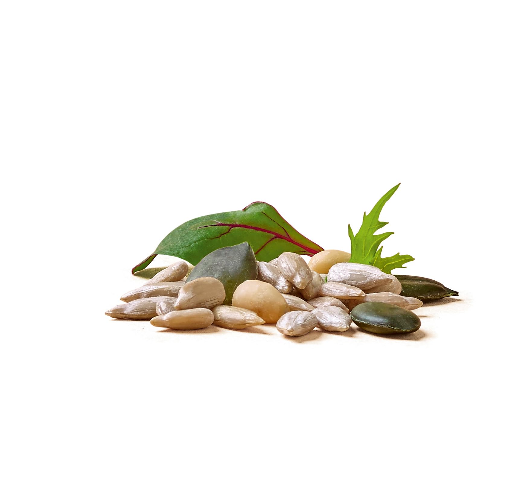 Maryland Salatveredler 1000g Vorratspackung 4er Pack – Sonnenblumenkerne, Kürbiskerne und Pinienkerne in Kerne Mischung – 100% vegan und frei von künstlichen Aromen – Im Großbeutel (4 x 1000g)
