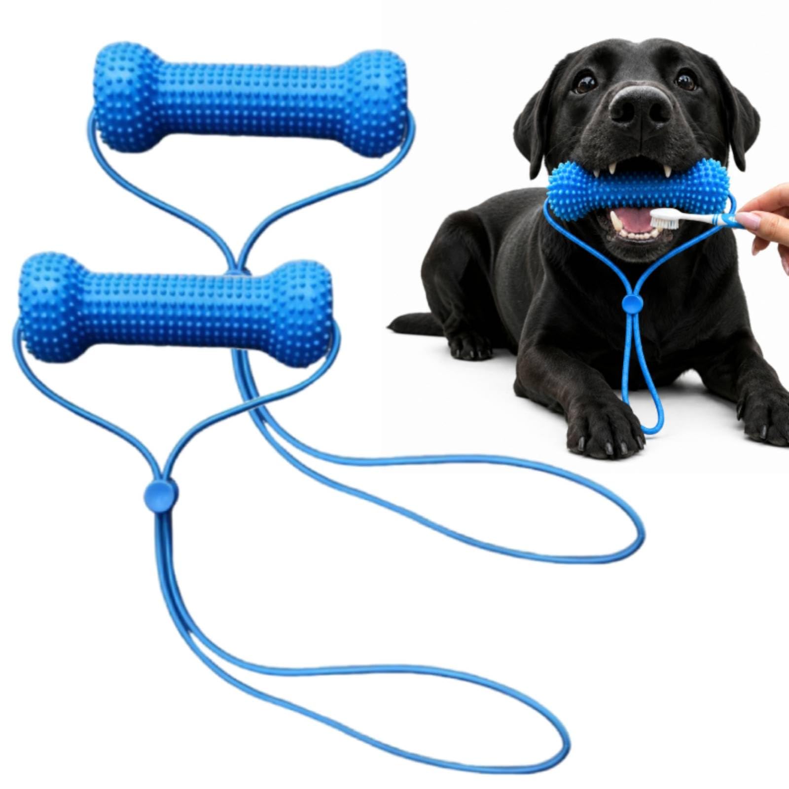 2Pcs Dual-Action Canine Dental Prop, Dog Dental Chew Toy and Teeth Brushing Aid, Dogs Toothbrush Toys, Reusable Dog Teeth Cleaning Tool for Easier Pet Oral Care, Small Medium Large Dogs (2Pcs)