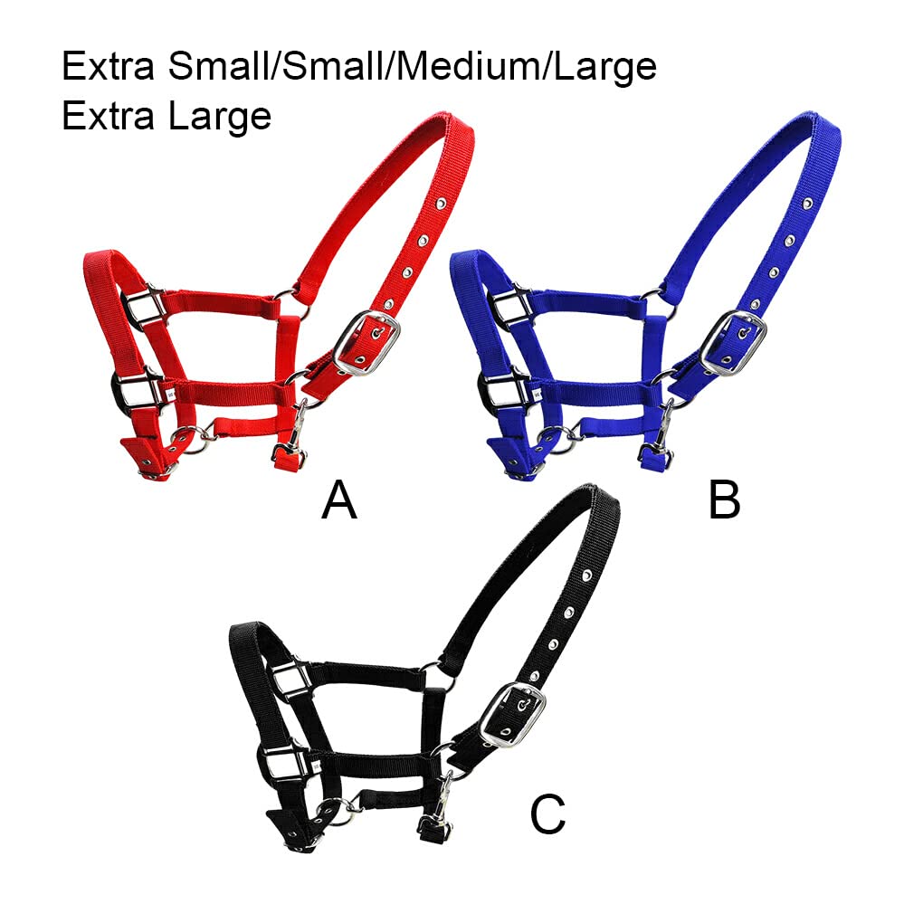 Capezza imbottita Pony Bridle Head Collar Regolabile in lega di zinco Equipaggiamento protettivo Indossare facilmente Forniture per cavalli Solidità, Blu, XL