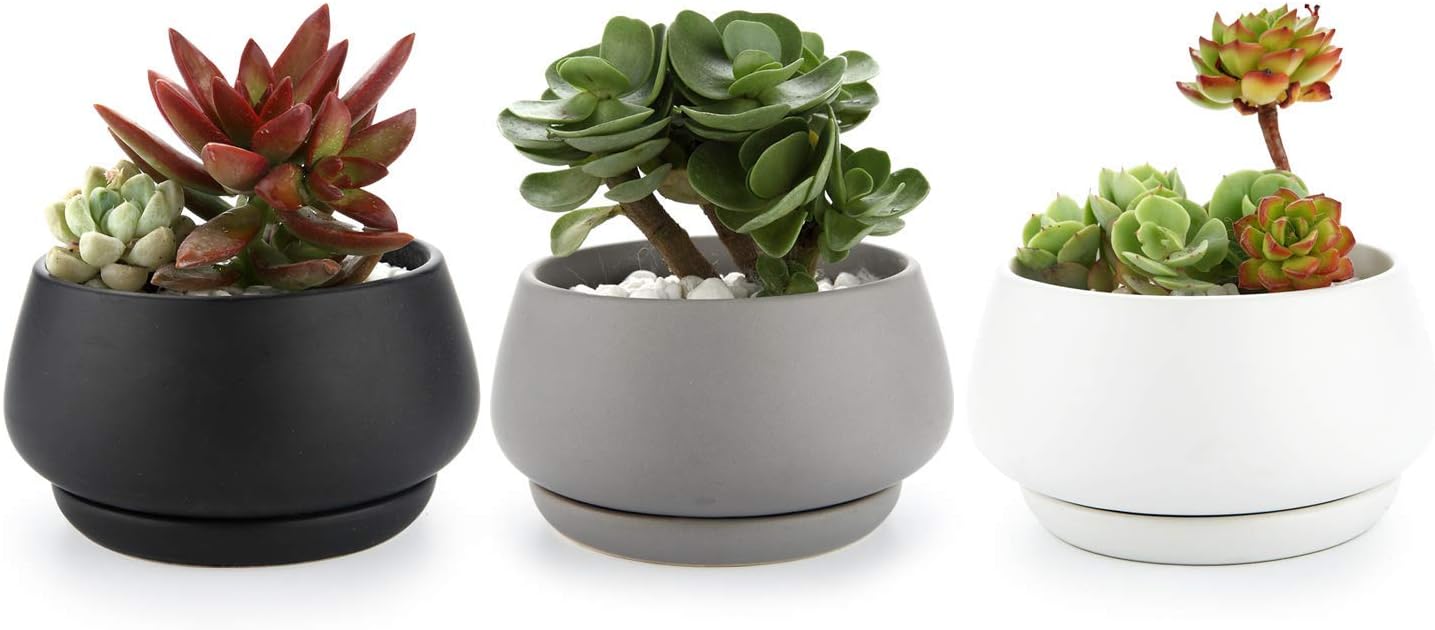 T4U 4 Inch Succulent Pots/Plant Pots Indoor, Matte Obalte Ceramic Bonsai Pots Cactus Flower Pots with Porcelain Tray for Desk, Windowsill, Home & Office Decor-Full Color, Pack of 3