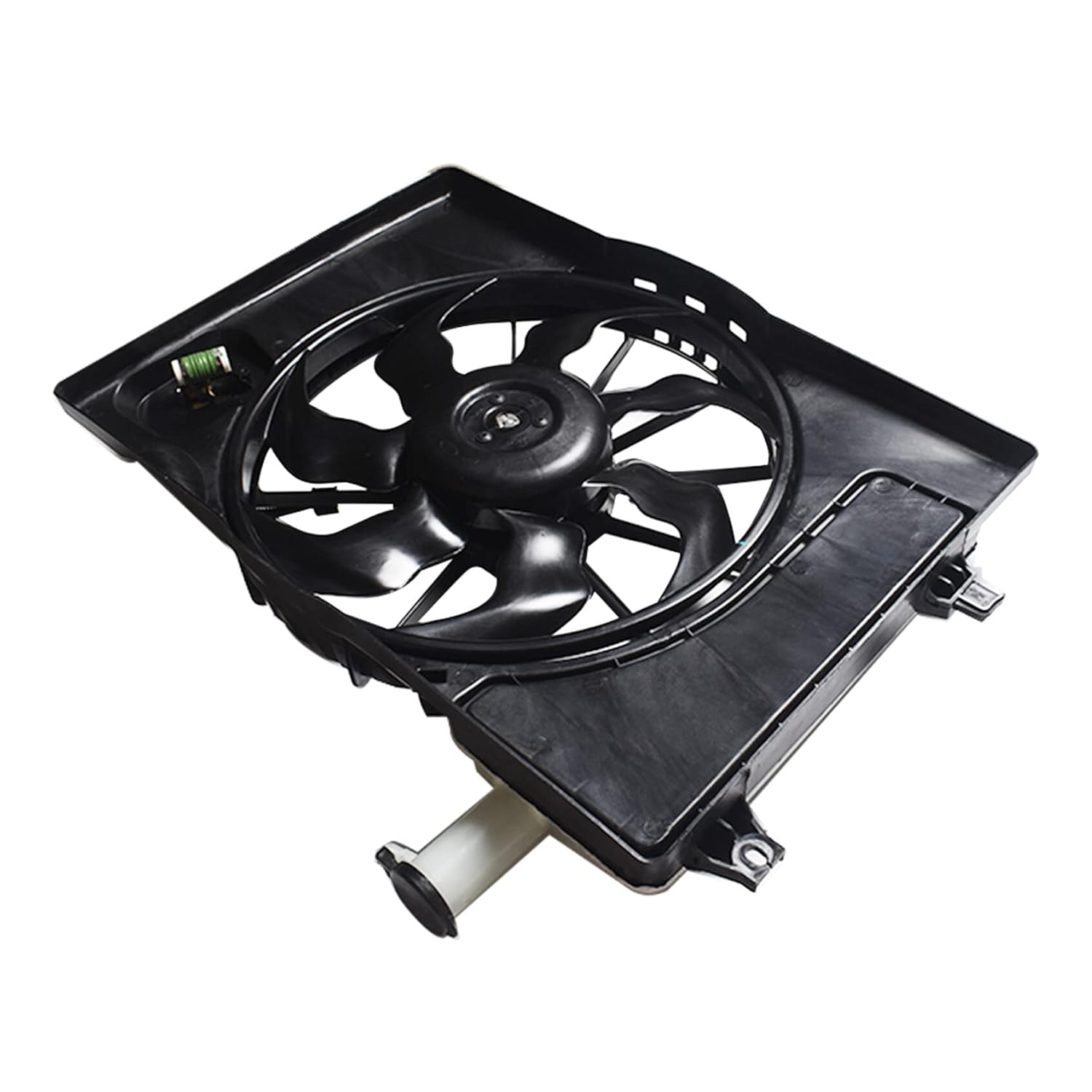 https://m.media-amazon.com/images/I/61lbHHXpZ-L._SL1500_.jpg
