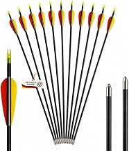 BSW - BogenSportWelt Black Bolt Fibreglass Arrows 32 Inch for Long and Recurve Bows up to 30 lbs - Set of 10 with Yellow/Red Plastic Feathering, Rounded Tin Tip, Plastic Cam