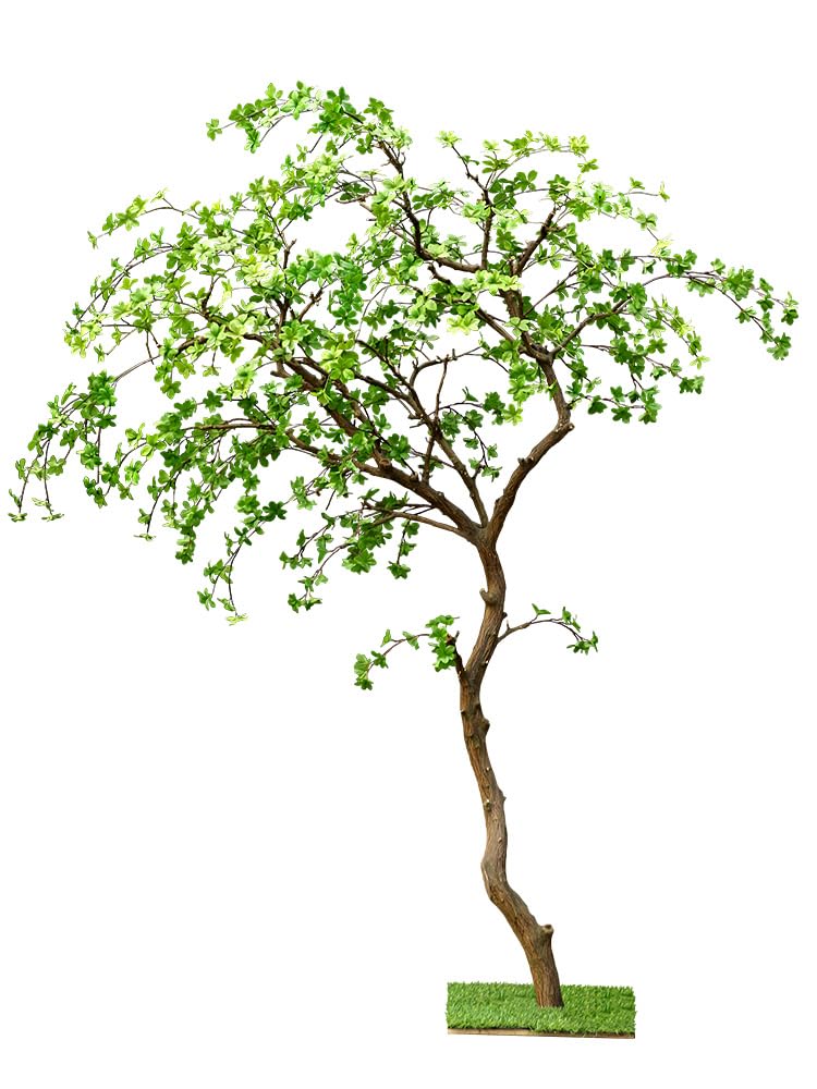 Bell Tree konia pijany drewno drzewo drzewo nordyckie w pomieszczenia Fałszywa Zielona roślina