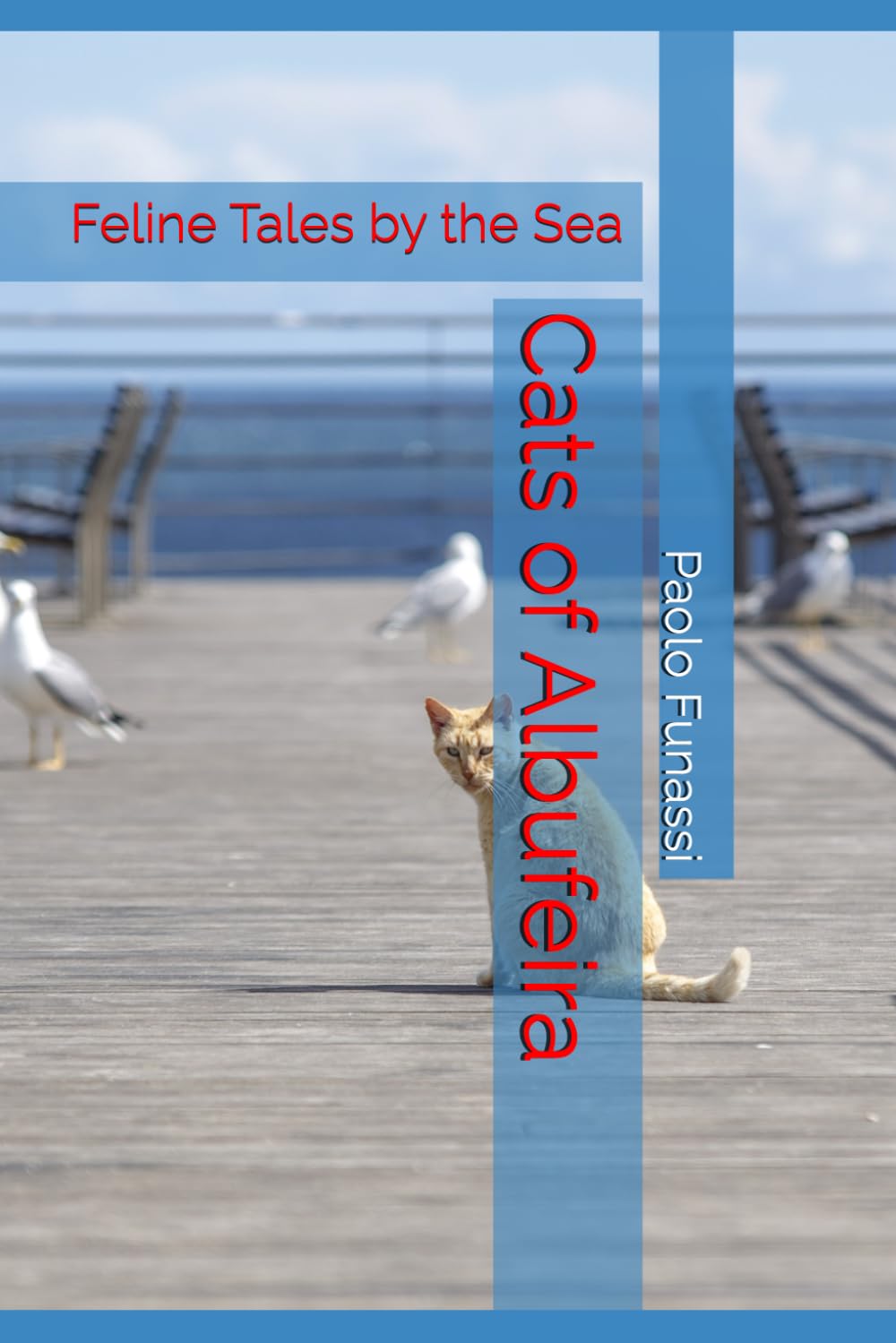 Cats of Albufeira: Feline Tales by the Sea