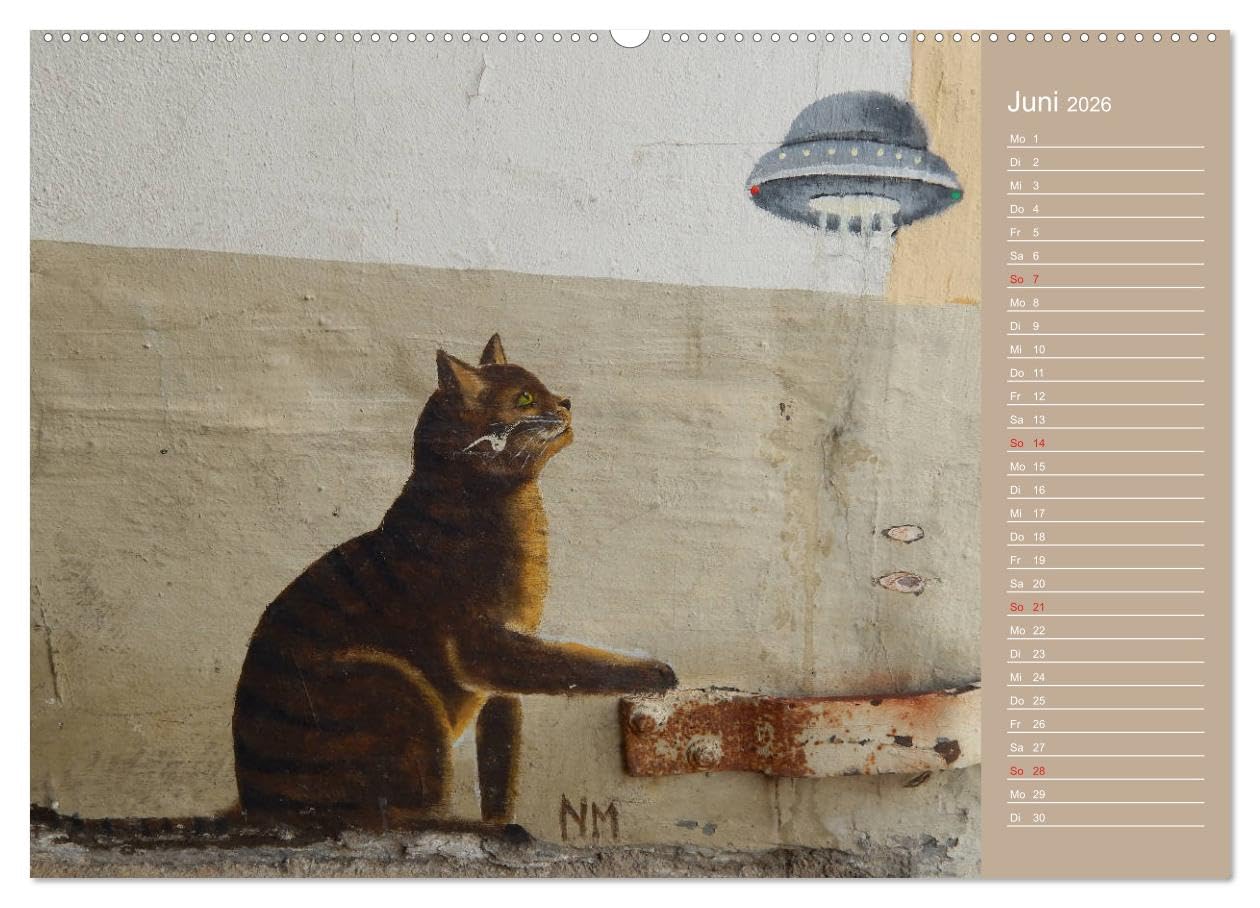 Flensburger Katzen (hochwertiger Premium Wandkalender 2026 DIN A2 quer), Kunstdruck in Hochglanz: Flensburger Katzen - Streetart (CALVENDO Kunst)