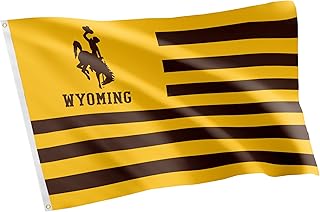 Desert Cactus University of Wyoming Flag Cowboys Banners 100% Polyester Indoor Outdoor 3x5 feet Flags (Nation)