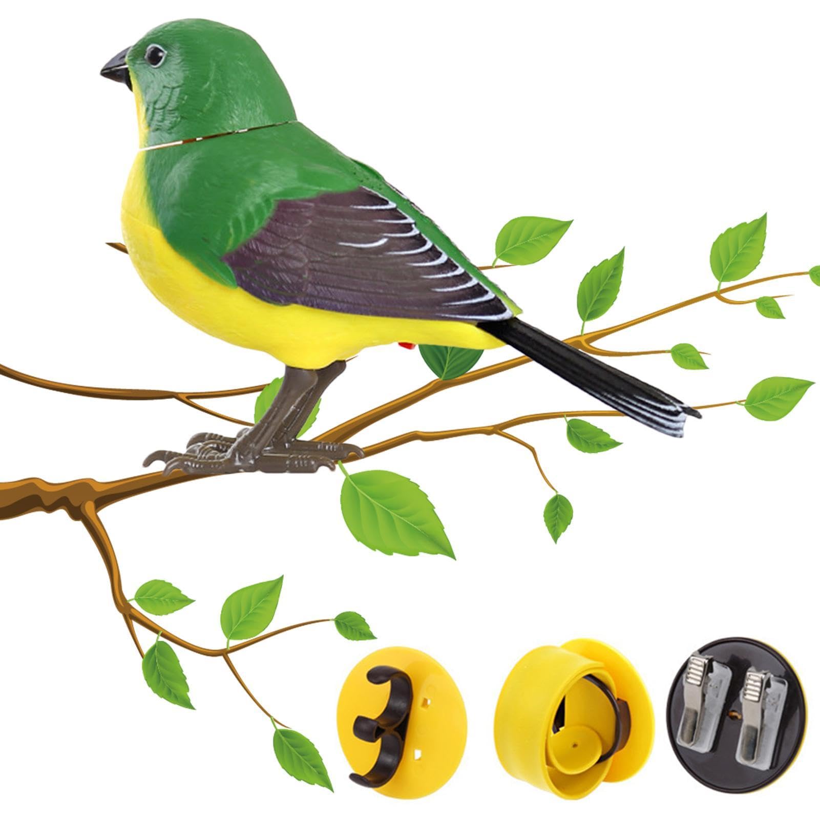 Amazon.co.jp: ロボット鳥、電気の歌声とさえずり鳥、創造的で